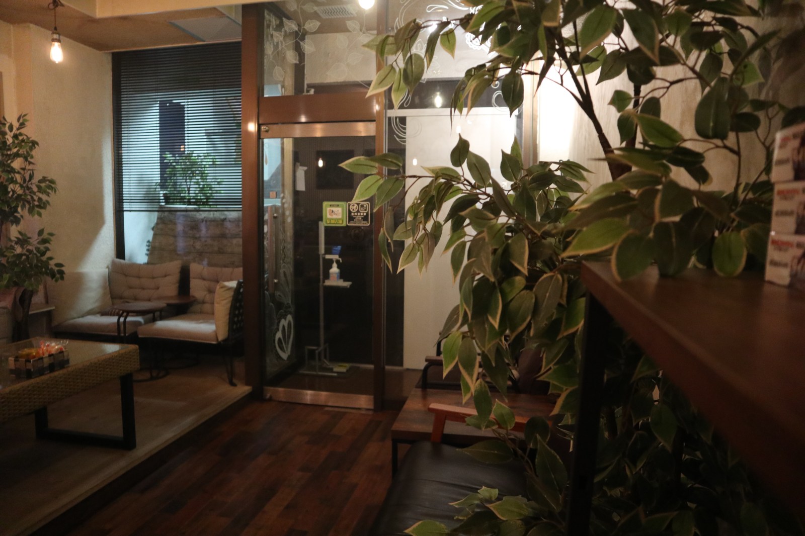 木と植物のあるshisha cafe Siestaの店内